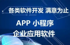 软件开发、App开发、微信开发 小程序开发，各类软件定制