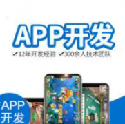 系统软件、应用软件、网站开发等 应用APP小程序开发