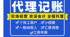 管理咨询|公司注册、代理记账、内帐外包、乱账整理、税务合规、